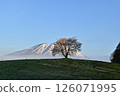 Mount Iwate and the single cherry tree in Takizawa City 126071995