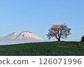 Mount Iwate and the single cherry tree in Takizawa City 126071996