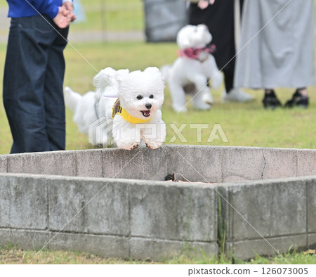 在Mofukai 126073005