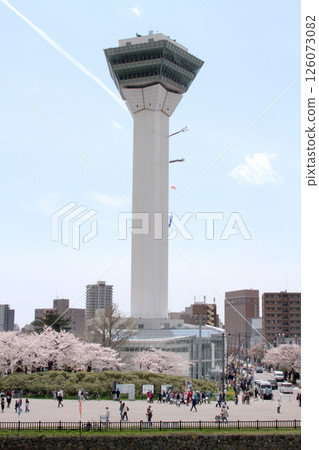 Goryokaku Park with cherry blossoms in full bloom, famous cherry blossom spot, cherry blossom viewing, Hakodate 126073082