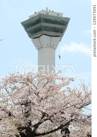 五稜郭公園櫻花盛開,著名賞櫻勝地,賞櫻勝地,函館 五稜郭公園櫻花盛開,著名賞櫻勝地,賞櫻勝地,函館 126073091