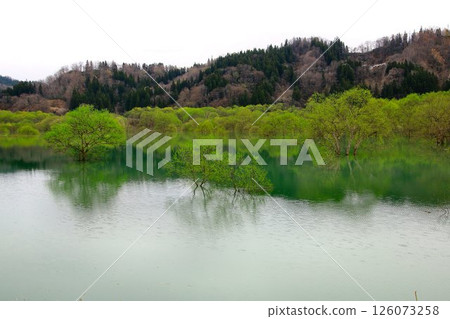 春天來臨之際呈現的寧靜景觀…白河湖的“水中森林” 126073258