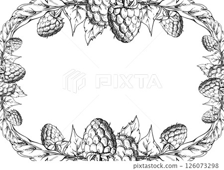 Raspberry leaves, ripe garden berries. Dewberry cloudberry mulberry loganberry tayberry boysenberry hand drawn in vector ink. Isolated border frame illustration. Wedding stationery, florist shop cards Raspberry leaves, ripe garden berries. Dewberry cloudberry mulberry loganberry tayberry boysenberry hand drawn in vector ink. Isolated border frame illustration. Wedding stationery, florist shop cards 126073298