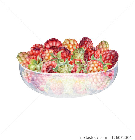 Raspberry served in glass bowl, ripe picked garden berry dewberry cloudberry mulberry tayberry boysenberry harvest. Isolated illustration hand drawn in watercolor. Farmers market grocery preserves Raspberry served in glass bowl, ripe picked garden berry dewberry cloudberry mulberry tayberry boysenberry harvest. Isolated illustration hand drawn in watercolor. Farmers market grocery preserves 126073304