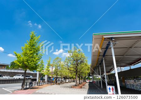 神奈川縣川崎市多摩區讀賣樂園天空之門漫步，春天的藍色天空 126073500