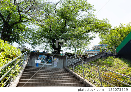 Yomiuriland Sky Shuttle Keioguchi Station Spring Blue Sky Spring Blue Sky Yanoguchi, Inagi City, Tokyo 126073529
