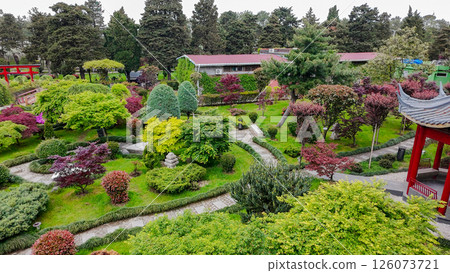 Japanese garden in Batumi in early May Japanese garden in Batumi in early May 126073721