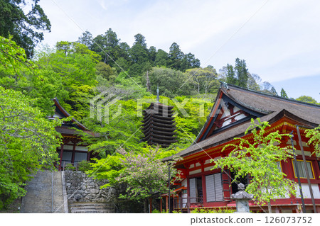 Tanzan Shrine: Main Hall, Thirteen-story Pagoda, and Shrine Worship Hall Tanzan Shrine: Main Hall, Thirteen-story Pagoda, and Shrine Worship Hall 126073752