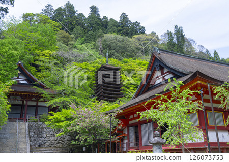 談山神社：本殿、十三重塔、神殿 126073753