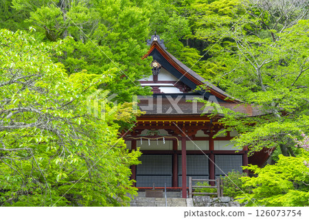Tanzan Shrine: The main hall surrounded by fresh greenery 126073754