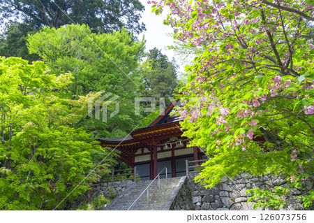 談山神社:綠樹環繞的正殿 談山神社:綠樹環繞的正殿 126073756