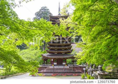 Tanzan Shrine: Thirteen-story pagoda (shrine) surrounded by fresh greenery 126073760