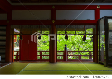 談山神社：從拜殿望去，美麗的新綠 126073769