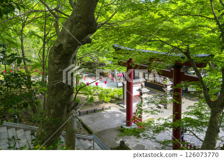 談山神社 - 鳥居被新綠環繞 126073770