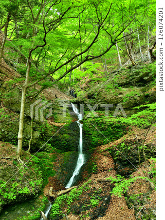 栃木縣那須鹽原市：新綠的季節和蓮珠瀑布 126074201