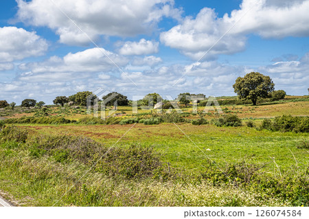Driving with the car through the Alentejo in Portugal. Area around Nisa and Castelo de Vide 126074584