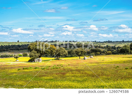 Driving with the car through the Alentejo in Portugal. Area around Nisa and Castelo de Vide 126074586