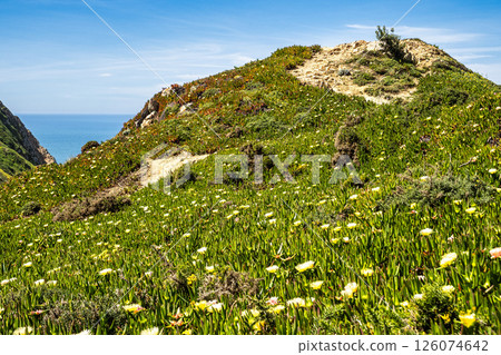 Hiking on the rocky cliffs of Cabo da Roca at the Atlantic coast of Portugal, Europe 126074642