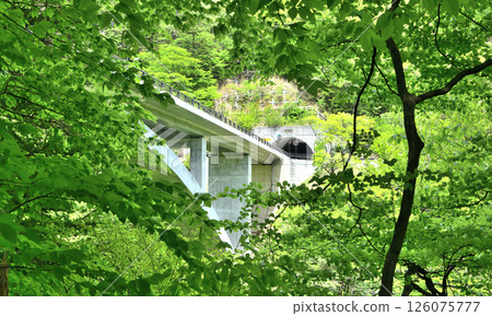 Nasushiobara City, Tochigi Prefecture: Tomiharu Bridge and Gamaishi Tunnel seen through the gaps in the trees 126075777