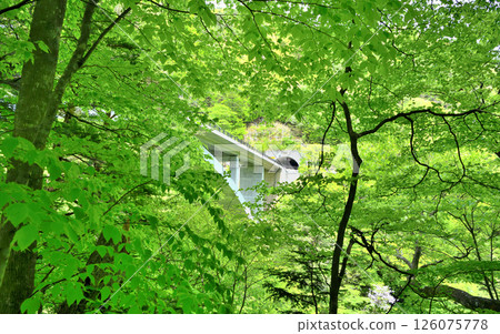 Nasushiobara City, Tochigi Prefecture: Tomiharu Bridge and Gamaishi Tunnel seen through the gaps in the trees 126075778