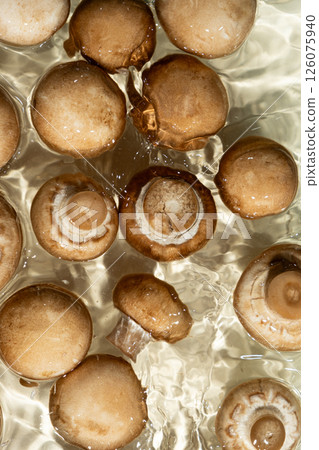 Brown Mushrooms Top View Composition, Champignons in a Water. Brown Mushrooms Top View Composition, Champignons in a Water. 126075940