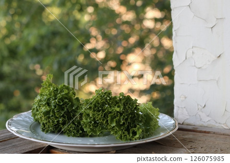 Lettuce salad leaf on white plate. Lettuce salad leaf on white plate. 126075985