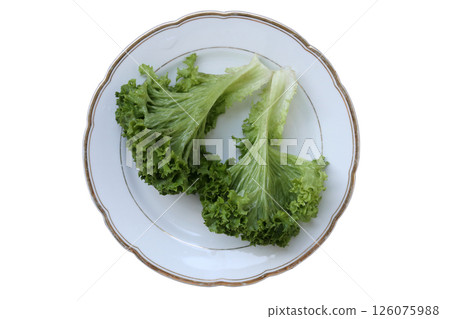 Lettuce salad leaf on white plate. The green background is blurred. Close-up. Lettuce salad leaf on white plate. The green background is blurred. Close-up. 126075988