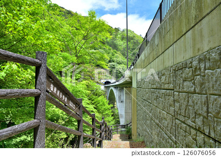 栃木縣那須鹽原市：鹽原大橋和富春大橋迎來新綠 126076056