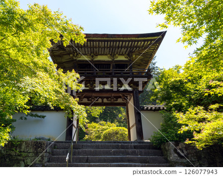 [Nara Prefecture] Chogakuji Temple, Tenri City (photographed on May 13, 2025) 126077943