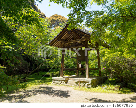 [奈良縣] 天理市長岳寺（2025年5月13日拍攝） 126077950