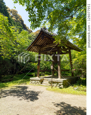[奈良縣] 天理市長岳寺（2025年5月13日拍攝） 126077951