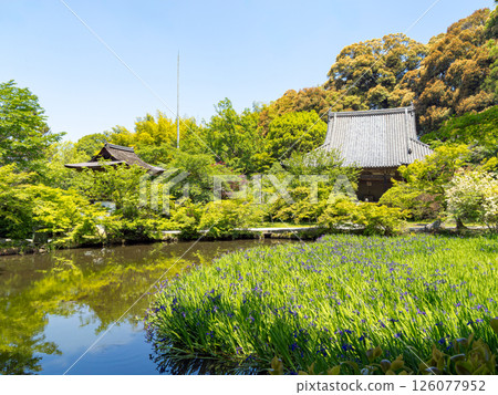 [奈良縣] 天理市長岳寺（2025年5月13日拍攝） 126077952