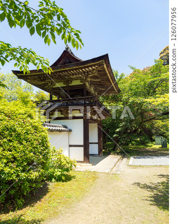 [奈良縣] 天理市長岳寺（2025年5月13日拍攝） 126077956