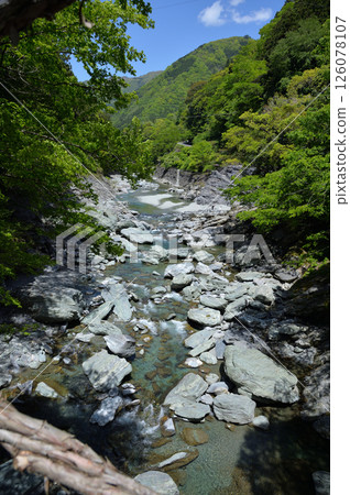 From the Kazura Bridge in Iya, Nishiiyayama Village, Miyoshi City, Tokushima Prefecture From the Kazura Bridge in Iya, Nishiiyayama Village, Miyoshi City, Tokushima Prefecture 126078107