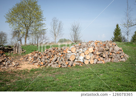Stacked Firewood Logs in Rural Yard Ready for Winter Use Stacked Firewood Logs in Rural Yard Ready for Winter Use 126078365