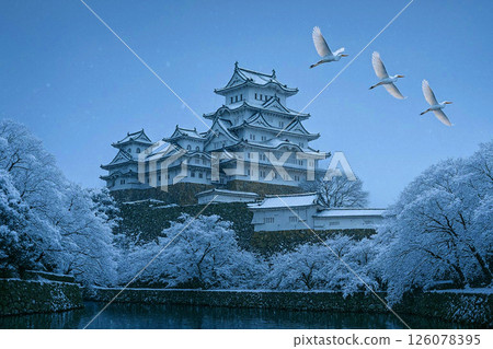Himeji Castle and snow scene 126078395