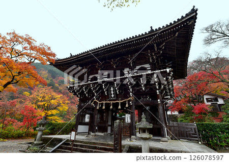 The gate of Yoshimineji Temple surrounded by autumn leaves The gate of Yoshimineji Temple surrounded by autumn leaves 126078597