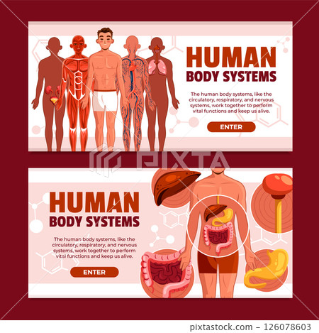 Human Body Systems Horizontal Banner Set 126078603