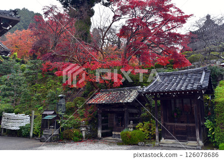 Yoshimineji Temple surrounded by autumn leaves Yoshimineji Temple surrounded by autumn leaves 126078686