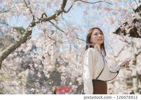 Woman traveling during cherry blossom season 126078912