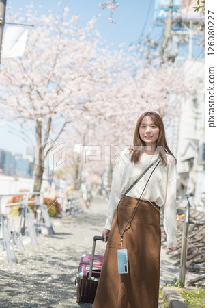 櫻花季旅行的女人 126080227