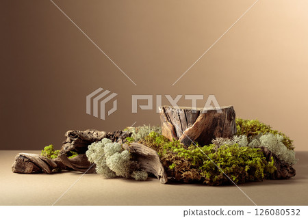 Composition with natural wooden snags and moss for advertising eco products. Composition with natural wooden snags and moss for advertising eco products. 126080532
