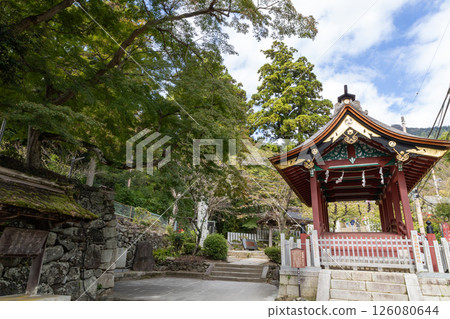秋天的筑波神社境內 秋天的筑波神社境內 126080644