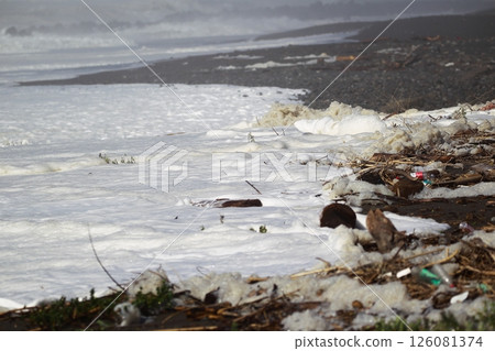 Waves crashing on Katsurahama Beach Waves crashing on Katsurahama Beach 126081374