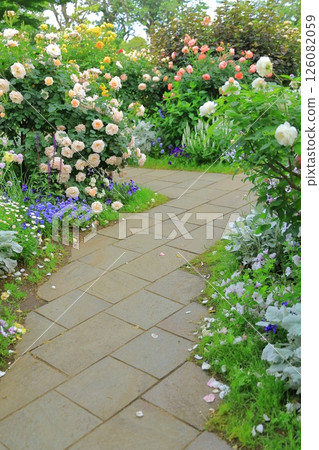 A hill park with a view of the port in full bloom 126082059