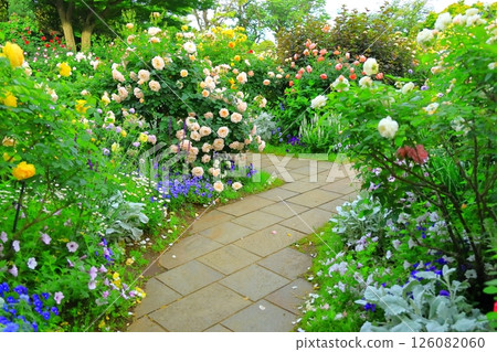 A hill park with a view of the port in full bloom 126082060