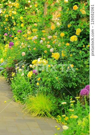 A hill park with a view of the port in full bloom 126082061