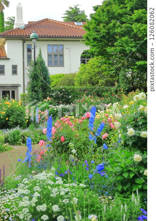 A hill park with a view of the port in full bloom 126082062