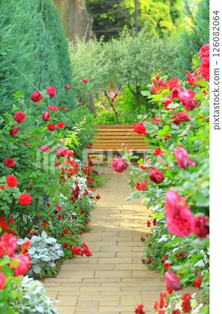 A hill park with a view of the port in full bloom 126082064