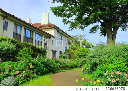 一個小山公園，可以看到盛開的港口 126082078